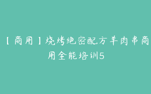 【商用】烧烤绝密配方羊肉串商用全能培训5