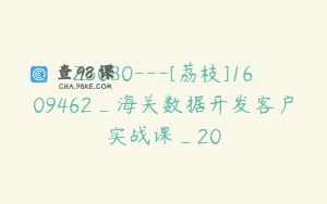 Z3080—[荔枝]1609462_海关数据开发客户实战课_20