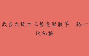 武当太极十三势老架教学_路一说站桩