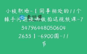 小枝职场-【同事相处的11个棘手问题极端版拍这视频课-7347964480506042633】-6900圆-11节