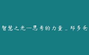 智慧之光—思考的力量_郑多爸