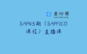 SAP43期（SAPFICO课程）直播课