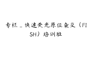 专栏_快速荧光原位杂交（FISH）培训班