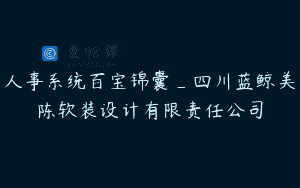 人事系统百宝锦囊_四川蓝鲸美陈软装设计有限责任公司