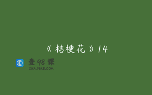《桔梗花》14