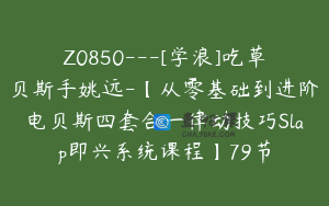 Z0850---[学浪]吃草贝斯手姚远-【从零基础到进阶电贝斯四套合一律动技巧Slap即兴系统课程】79节