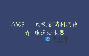 A309—太极营销利润传奇-魂道法术器