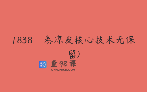 1838_卷凉皮核心技术无保留)