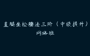 直腿坐松腰法三阶（中级提升）网络班