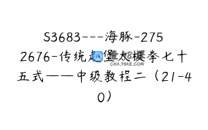 S3683—海豚-2752676-传统赵堡太极拳七十五式——中级教程二（21-40）