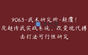 9063-武术研究所-颠覆！庞超传武实战系统，改变现代搏击打法可行性研究