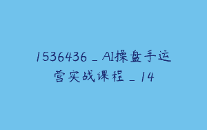 1536436_AI操盘手运营实战课程_14
