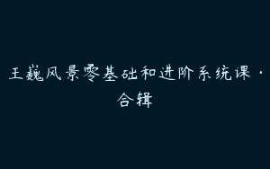 王巍风景零基础和进阶系统课·合辑
