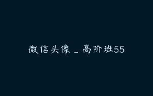 微信头像_高阶班55