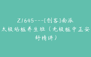 Z1645---[创客]南派太极站桩养生班（无极桩中正安舒精讲）