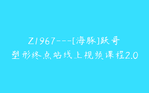 Z1967—[海豚]跃哥塑形终点站线上视频课程2.0