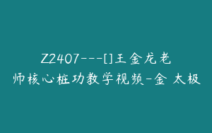 Z2407---[]王金龙老师核心桩功教学视频-金巃太极