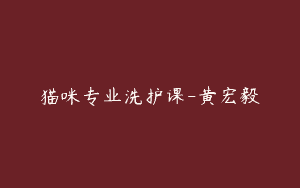 猫咪专业洗护课-黄宏毅