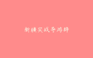 新疆实战导游辞