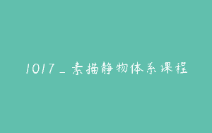 1017_素描静物体系课程
