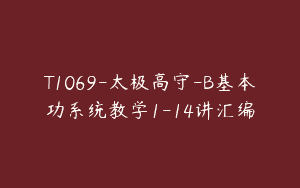 T1069-太极高守-B基本功系统教学1-14讲汇编