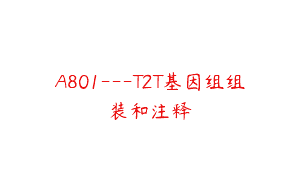 A801—T2T基因组组装和注释