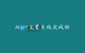 MAYA交易系统实战班