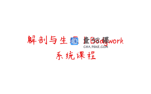 解剖与生理丨Bodywork系统课程