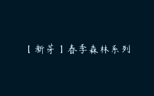 【新芽】春季森林系列