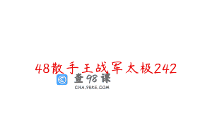 48散手王战军太极242