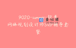9020-summer-软考网络规划设计师SVIP辅导套餐