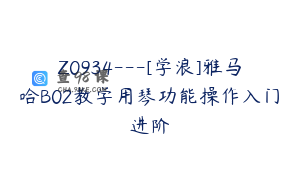 Z0934---[学浪]雅马哈B02教学用琴功能操作入门进阶
