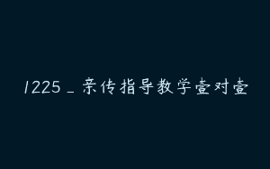 1225_亲传指导教学壹对壹