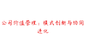 公司价值管理：模式创新与协同进化