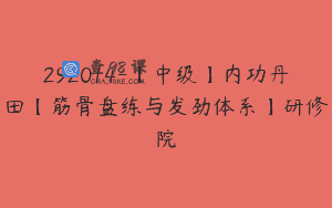 292014-【中级】内功丹田【筋骨盘练与发劲体系】研修院