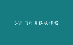 SAP-FI财务模块课程