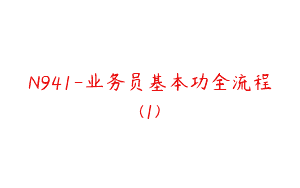 N941-业务员基本功全流程(1)