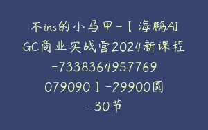 不ins的小马甲-【海鹏AIGC商业实战营2024新课程-7338364957769079090】-29900圆-30节