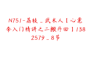 N751-荔枝_武术人【心意拳入门精讲之二搬丹田】1382579_8节