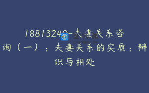 18813240-夫妻关系咨询（一）：夫妻关系的实质：辩识与相处