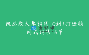 凯总教大单销售-0到1打造顾问式销售-6节