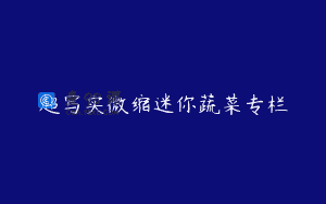 超写实微缩迷你蔬菜专栏
