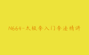N664-太极拳入门拳法精讲