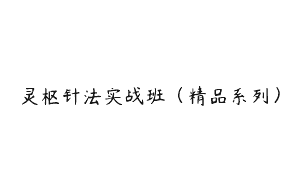 灵枢针法实战班（精品系列）