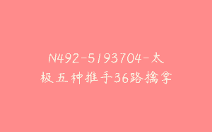 N492-5193704-太极五种推手36路擒拿