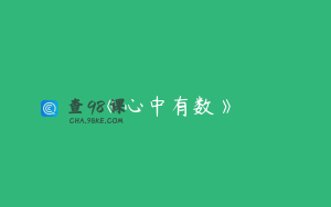 《心中有数》