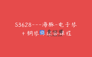 S3628—海豚-电子琴＋钢琴课综合课程