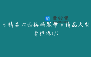 《精益六西格玛黑带》精品大型专栏课(1)