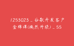 1253023_谷歌开发客户金牌课(焕然升级)_55