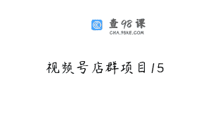 视频号店群项目15